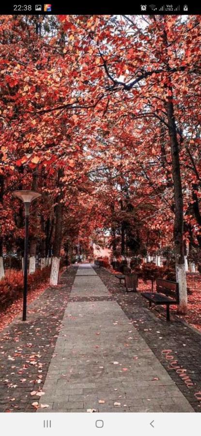 Gamsakhurdia Street Borjomi Exterior foto