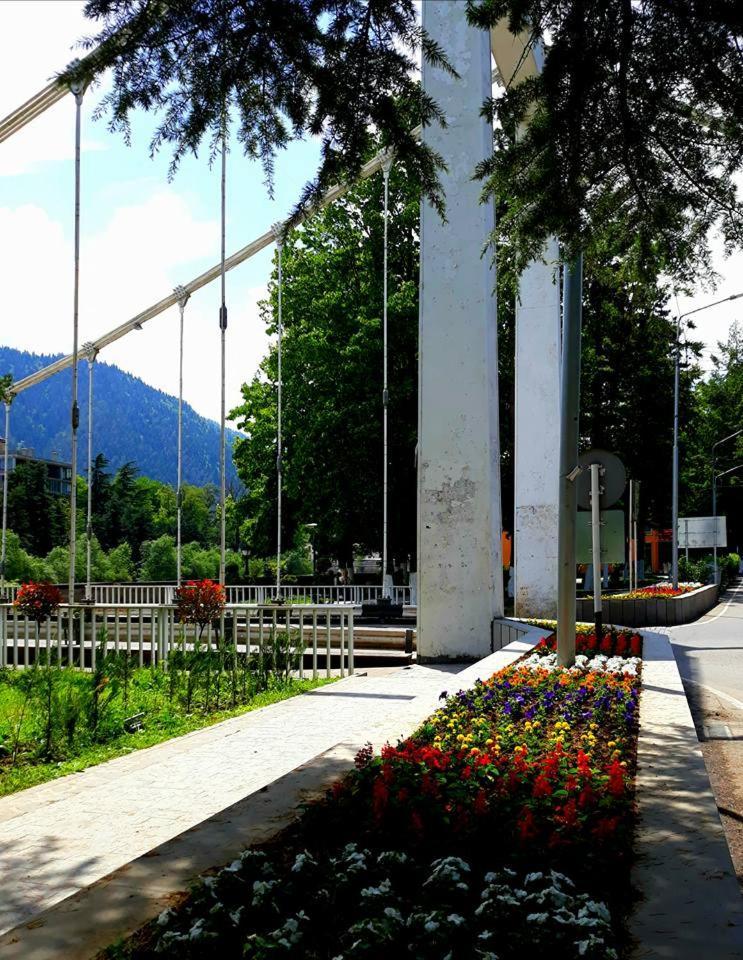 Gamsakhurdia Street Borjomi Exterior foto